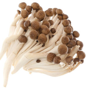 New Age Farm Brown Reishi Mushrooms 150g
