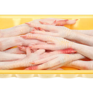 New Age Farm Chicken Feet 500g